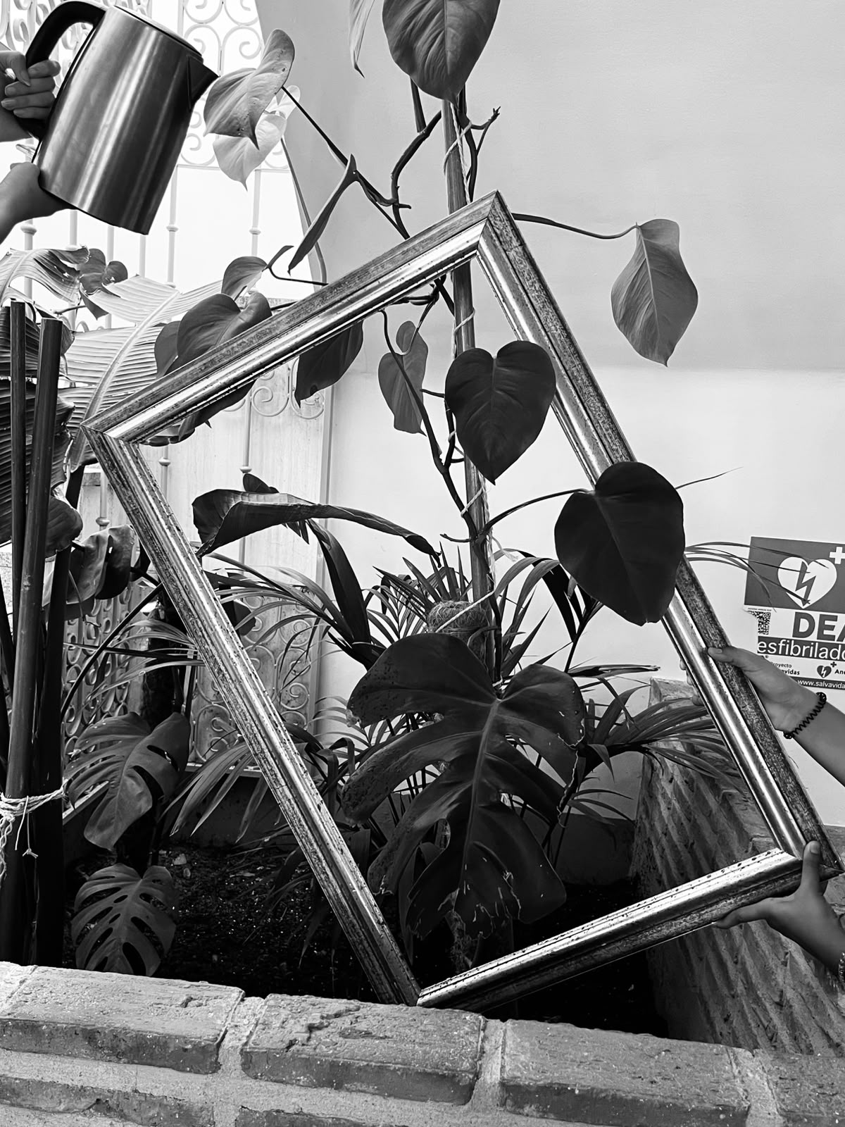 Fotografía de l@s jóvenes