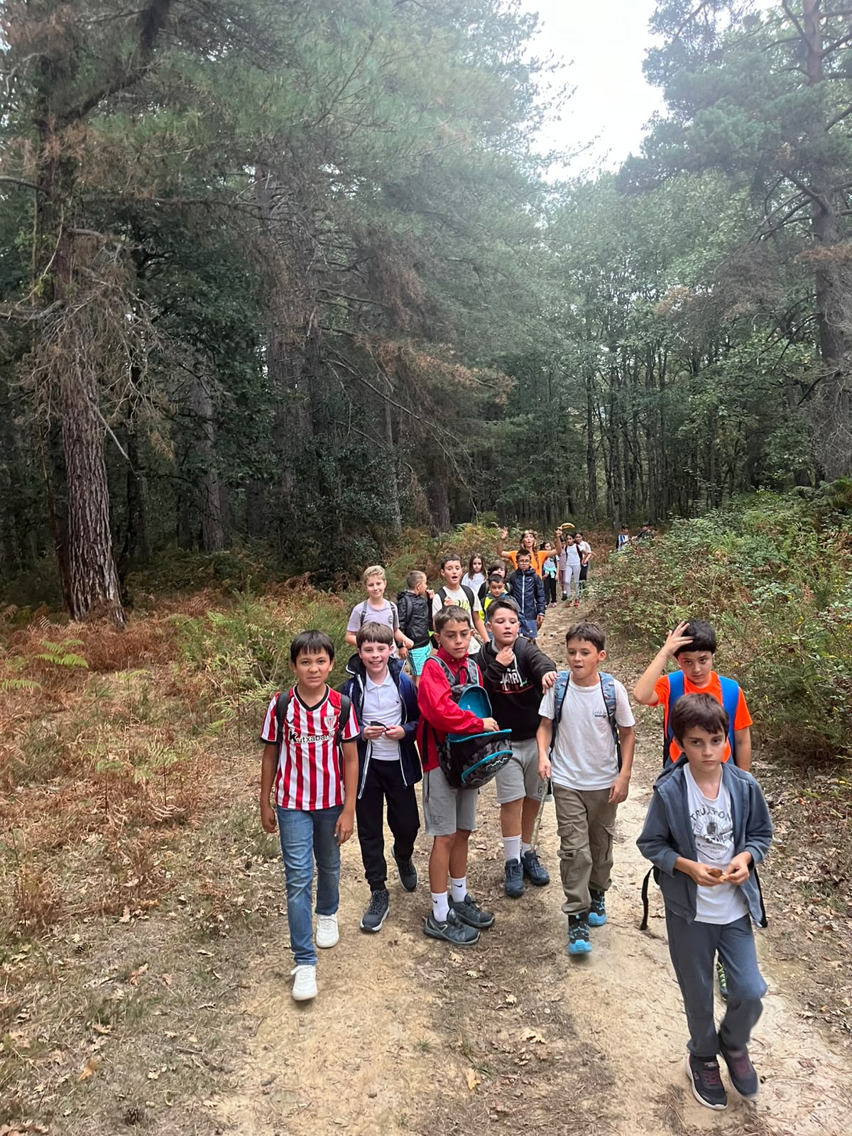 Yendo al bosque