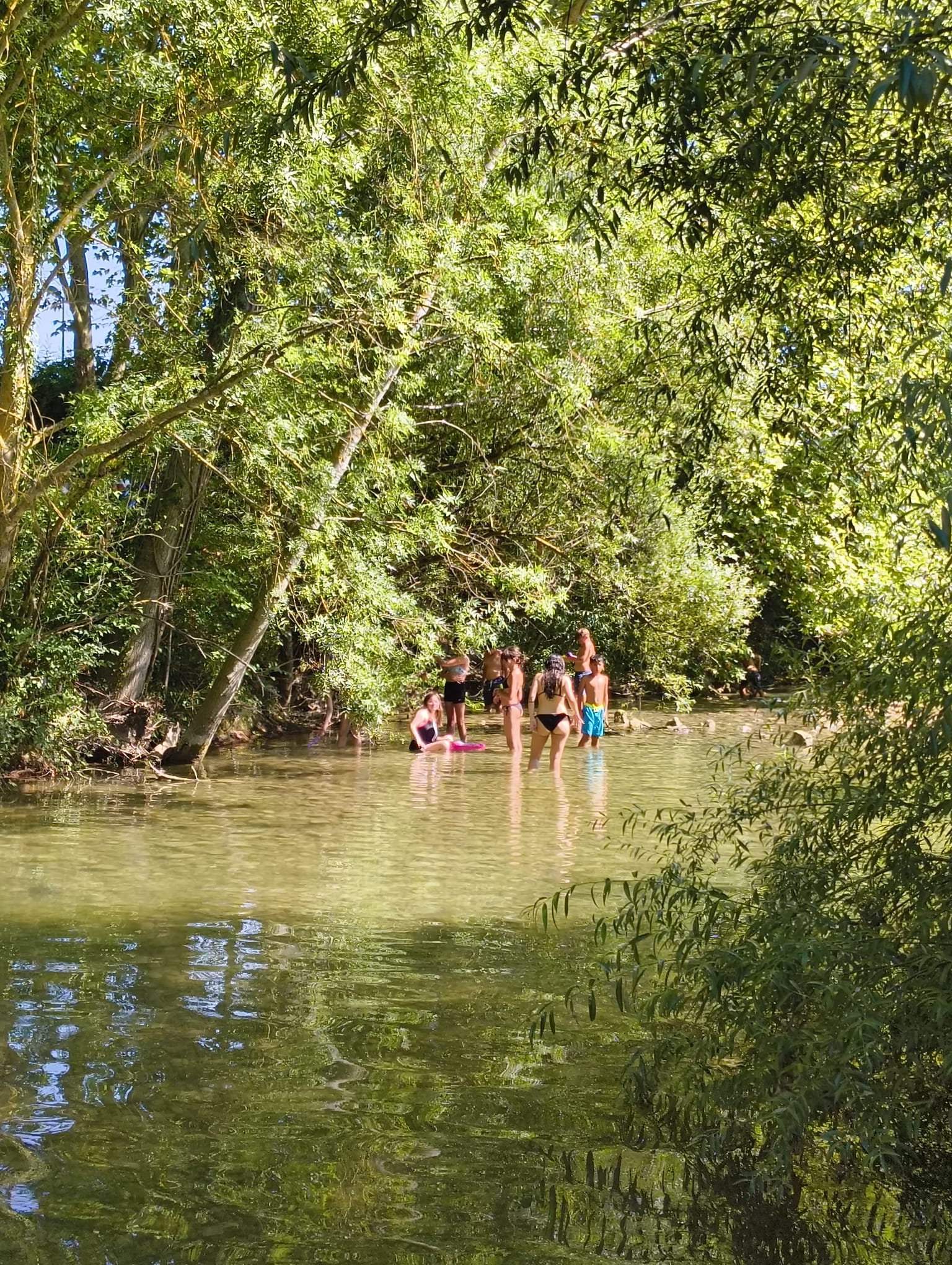 swimming