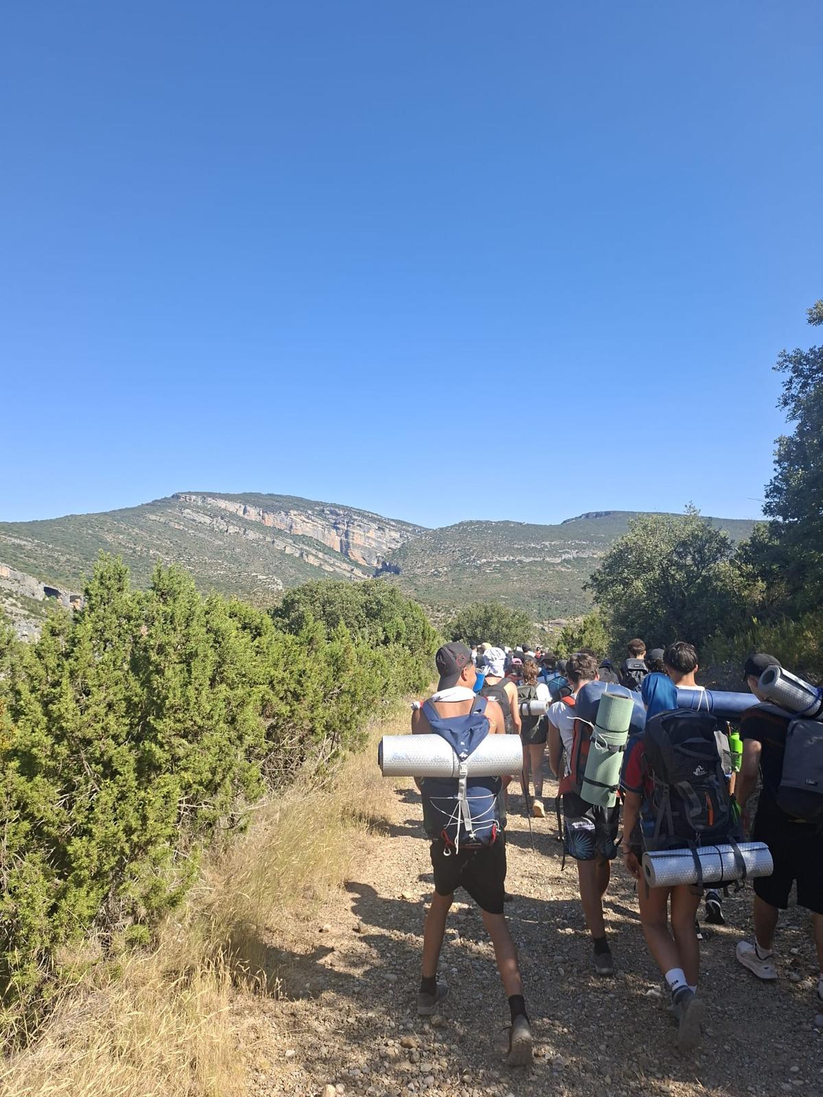 Ruta
