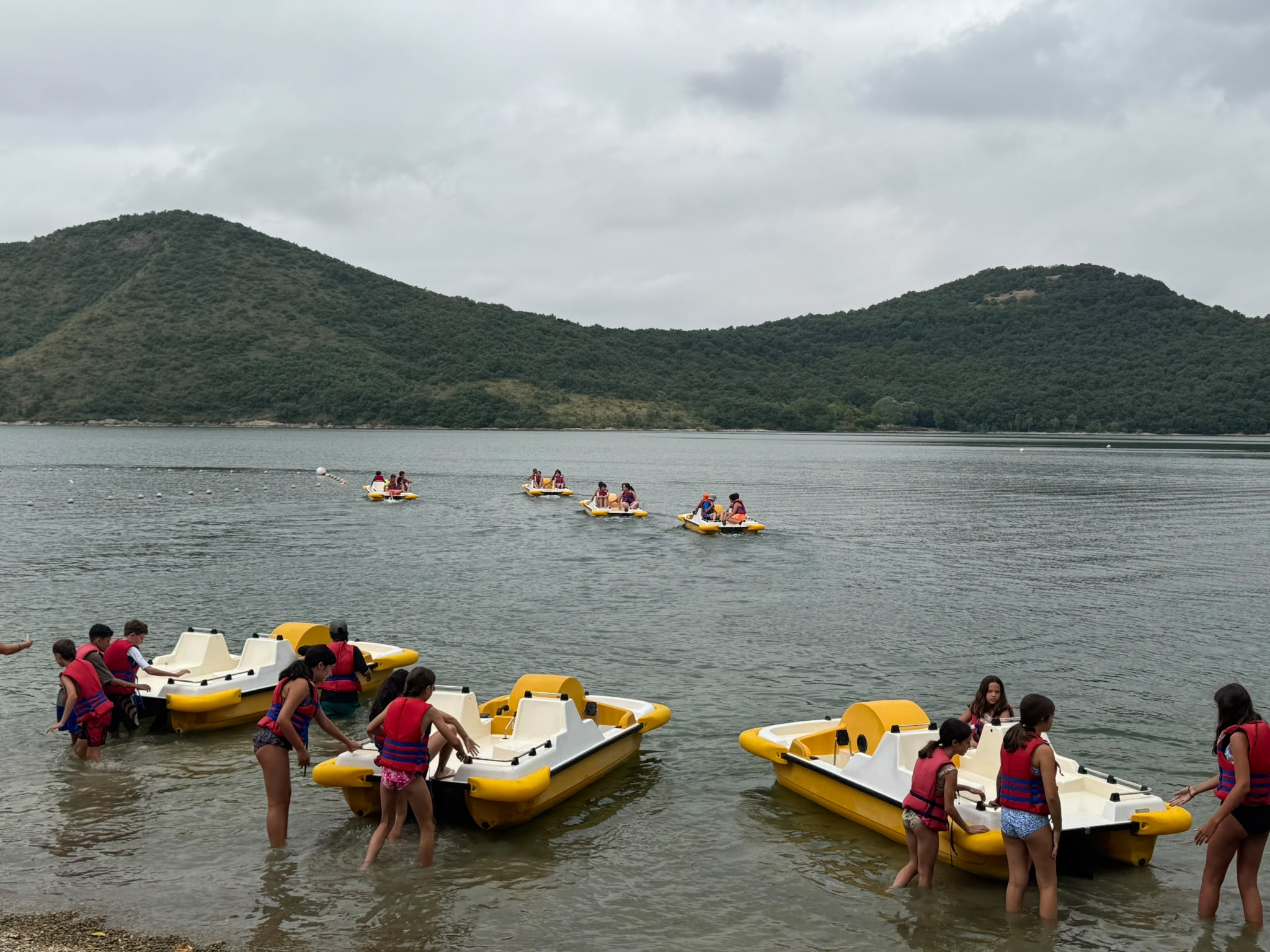 Pedalo